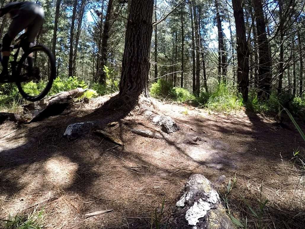 mountain bike Bump Jump 4