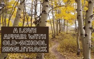 How Mountain Biking Keeps Me Sane